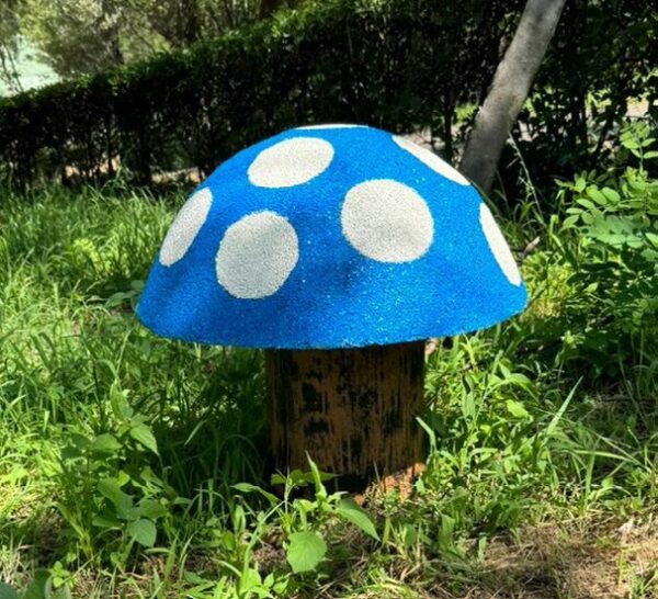 Blue Bell Mushroom