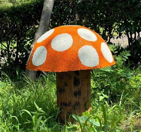 Red Gnome Mushroom